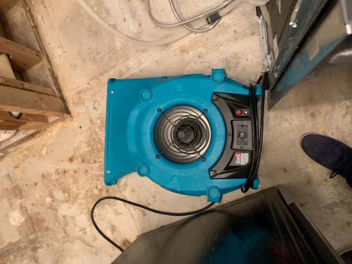 Air mover drying equipment for Mold Remediation & Removal in Centreville